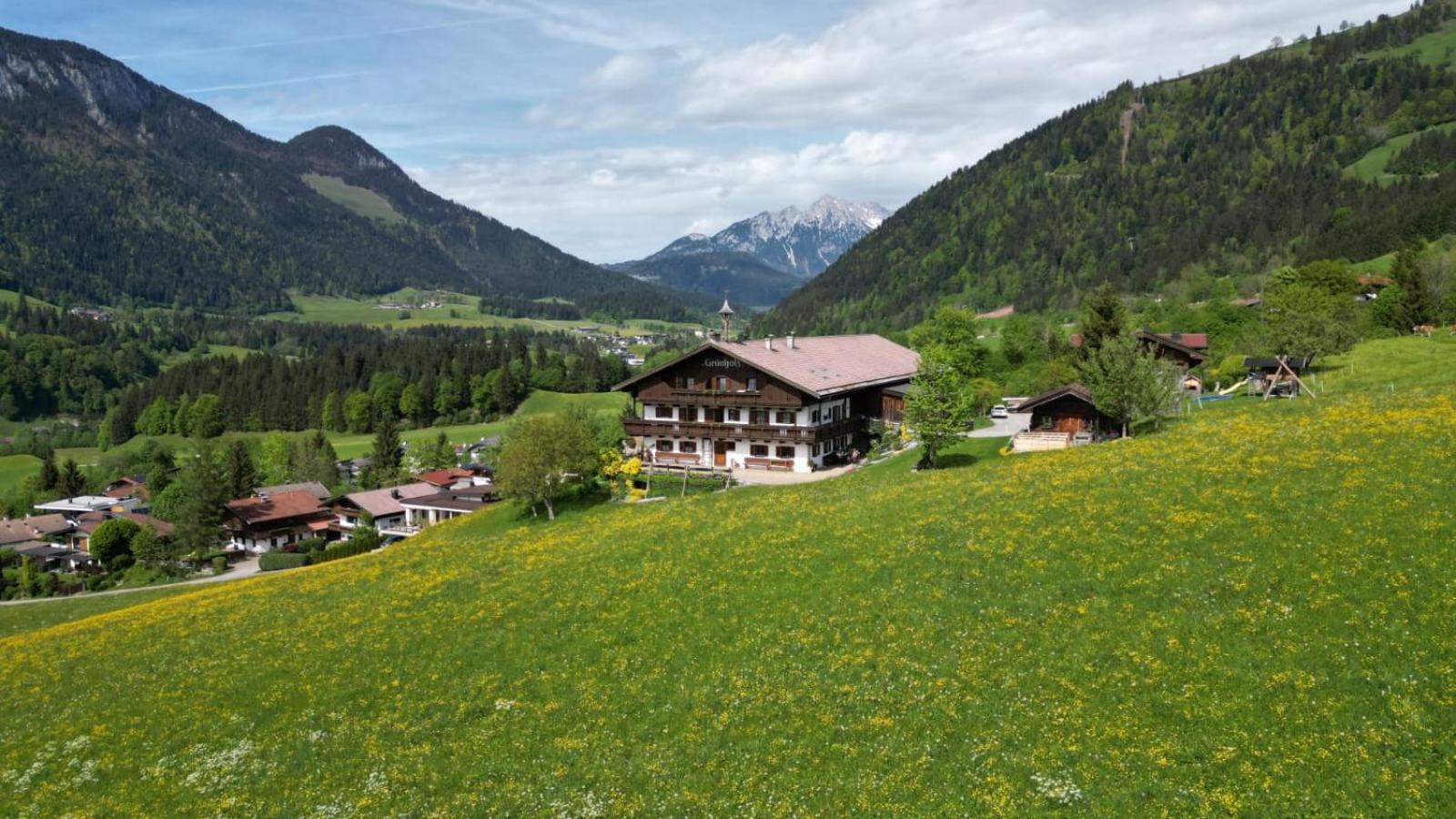 Villa Grünholz Itter Exterior foto